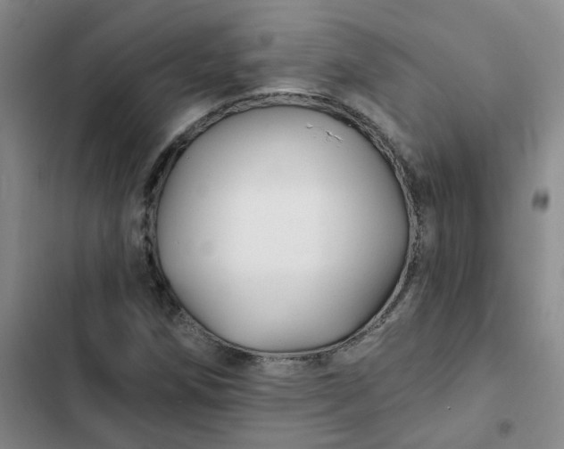 X0000102491258200808221722