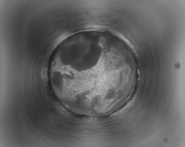 X0000102491259200808221722