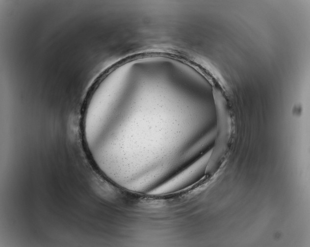 X0000102491260200808221722