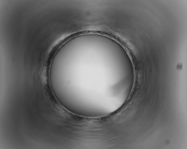 X0000102491262200808221722