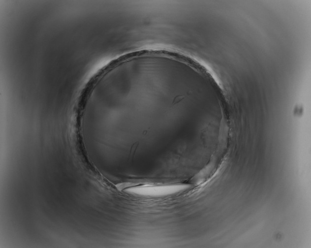 X0000102491263200808221722