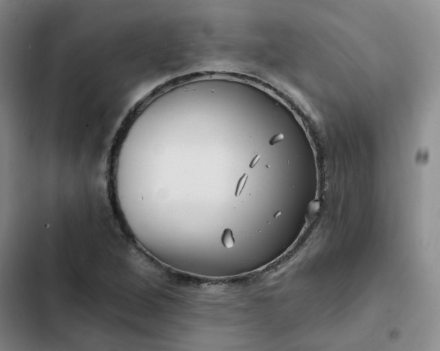 X0000102491264200808221722