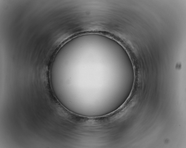 X0000102491265200808221722