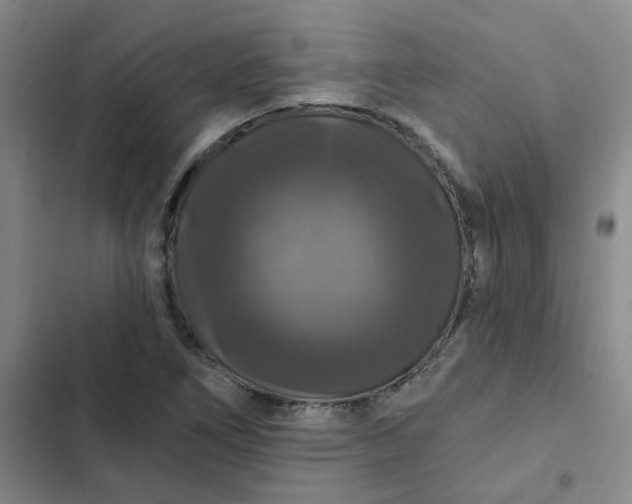 X0000102491266200808221722