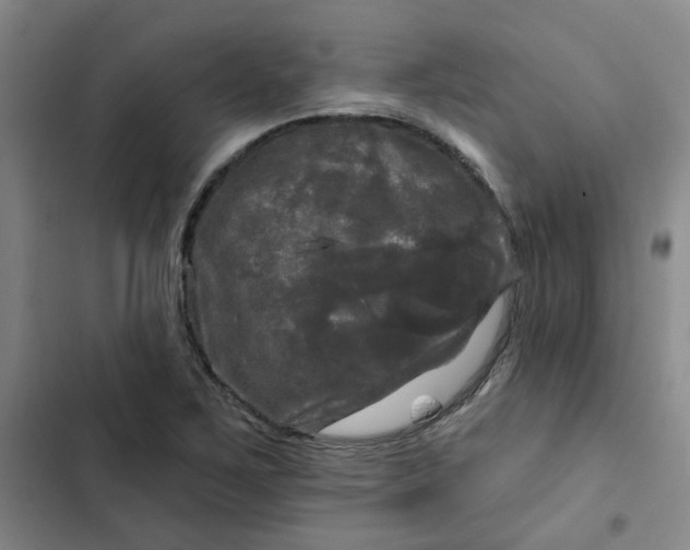 X0000102491267200808221722