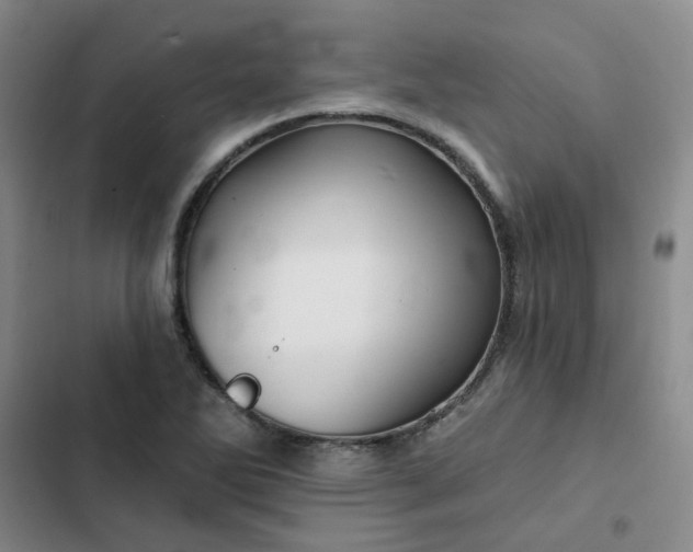 X0000102491270200808221722