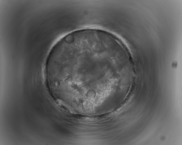 X0000102491271200808221722