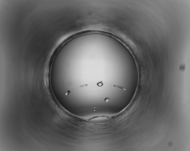 X0000102491272200808221722