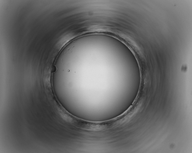 X0000102491273200808221722