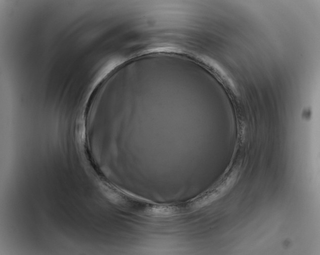 X0000102491274200808221722