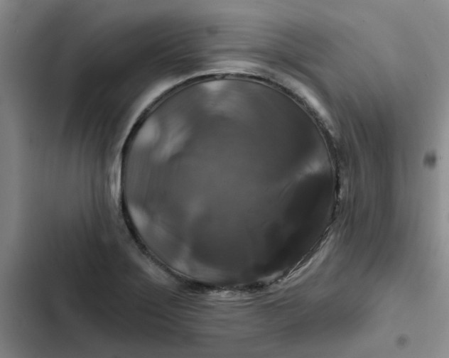 X0000102491275200808221722