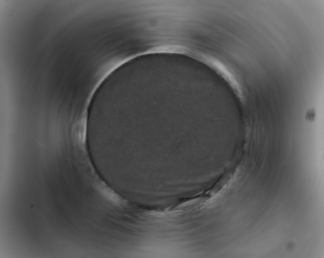 X0000102491276200808221722