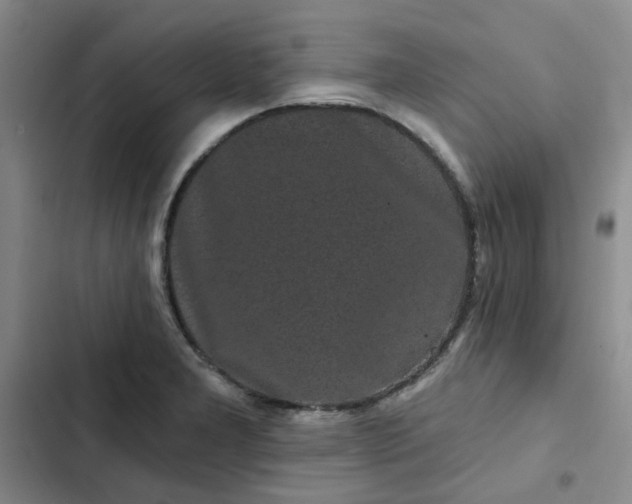 X0000102491277200808221722