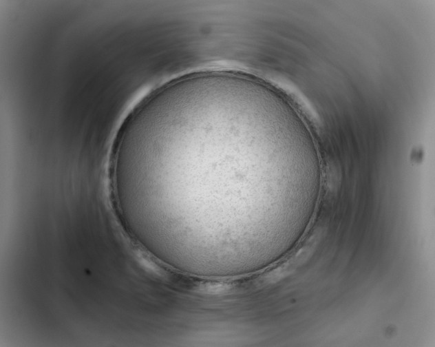 X0000102491278200808221722