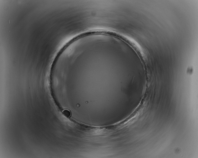 X0000102491279200808221722