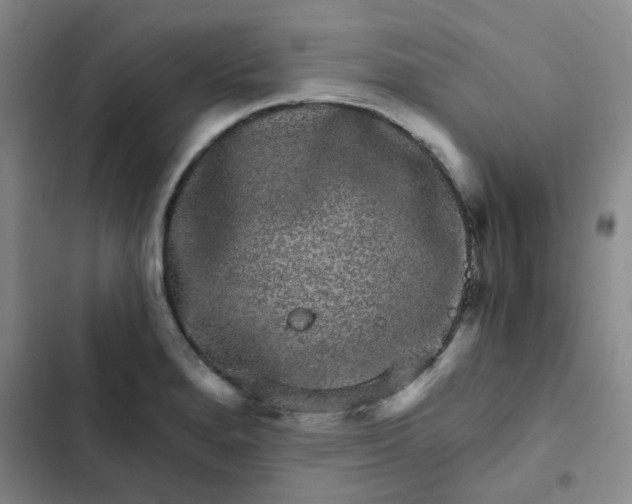 X0000102491280200808221722