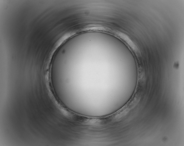 X0000102491282200808221722