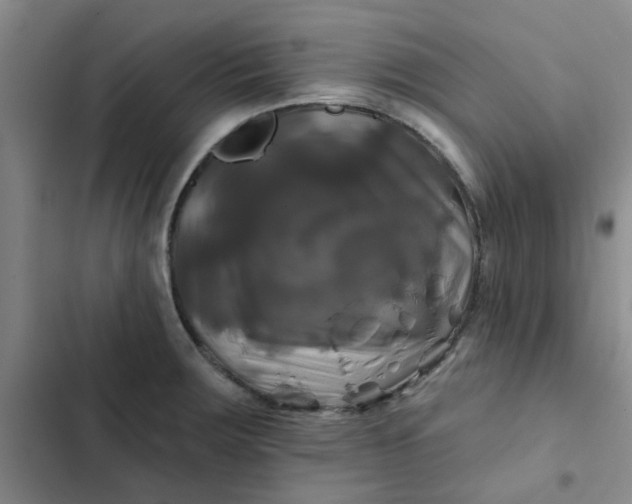 X0000102491283200808221722