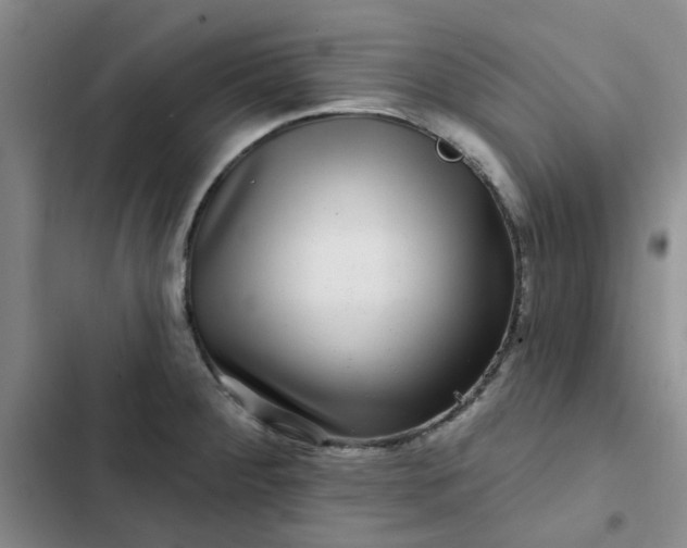 X0000102491284200808221722