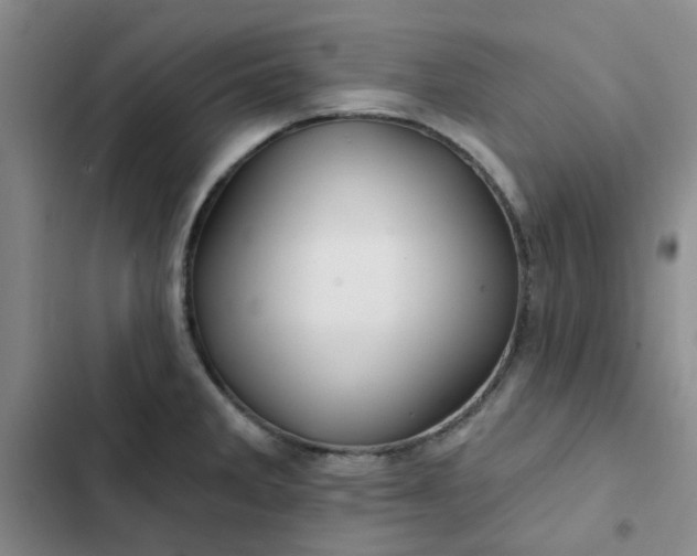 X0000102491285200808221722