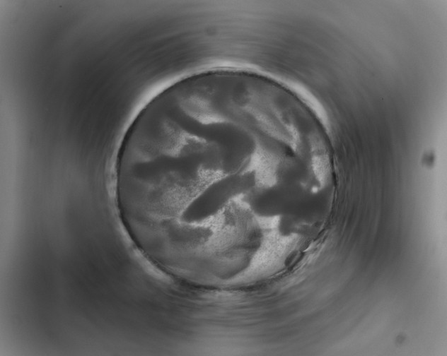 X0000102491287200808221722