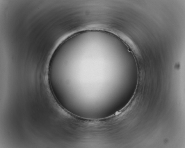 X0000102491288200808221722