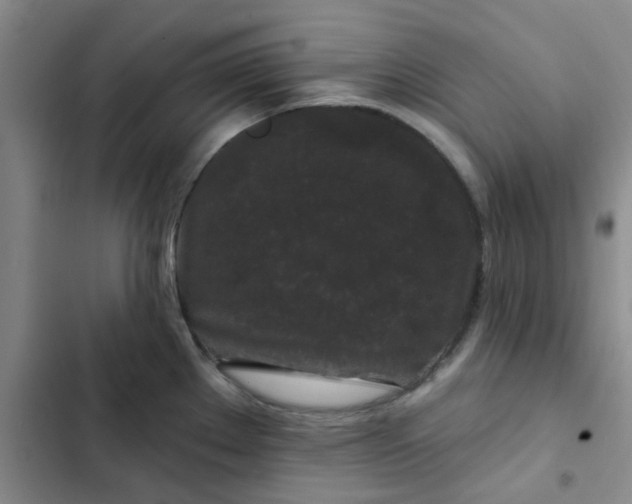 X0000102491289200808221722