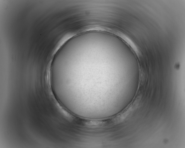 X0000102491290200808221722