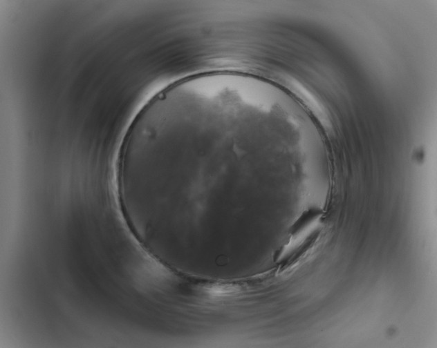 X0000102491291200808221722