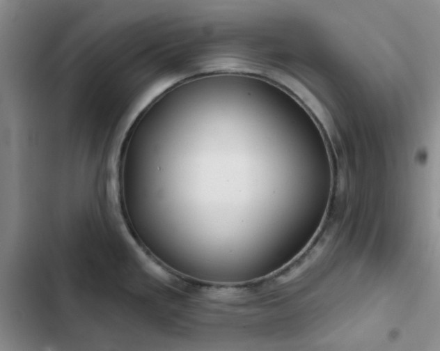 X0000102491293200808221721