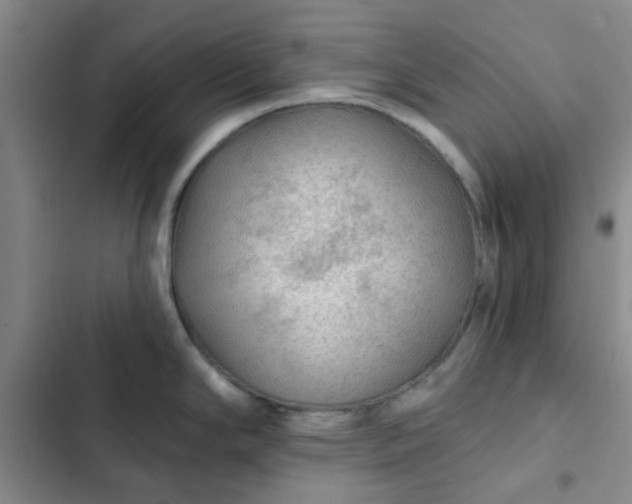 X0000102491294200808221721