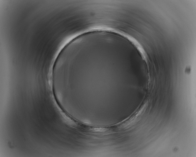 X0000102491295200808221721