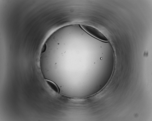 X0000102491296200808221721