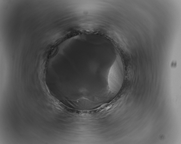 X0000102491297200808221721