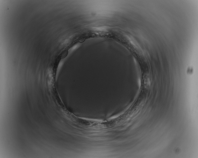 X0000102491298200808221721