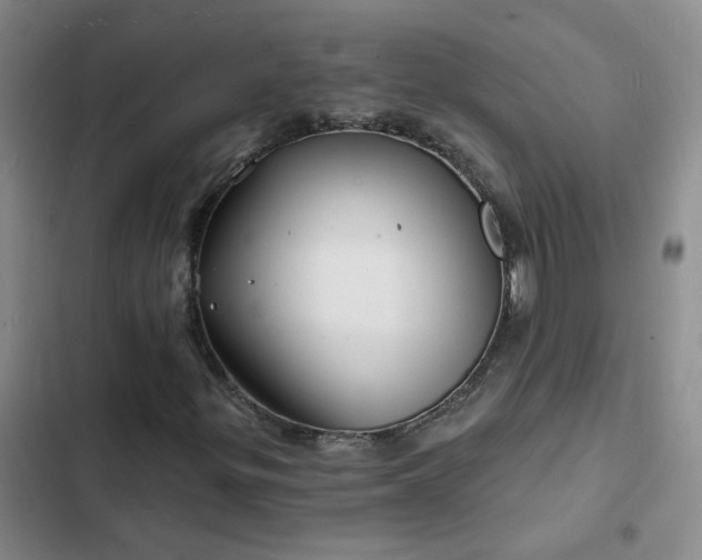 X0000102491299200808221721