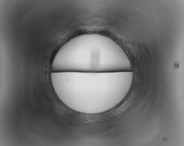 X0000102491300200808221721