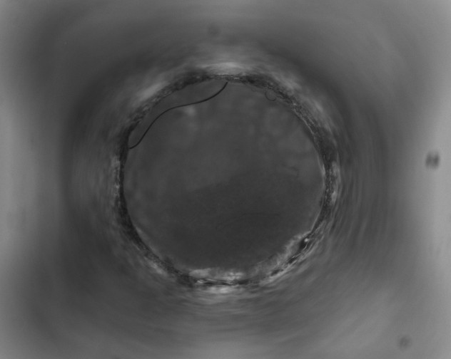 X0000102491301200808221721