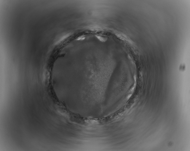 X0000102491302200808221721