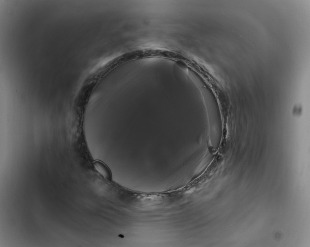 X0000102491303200808221721