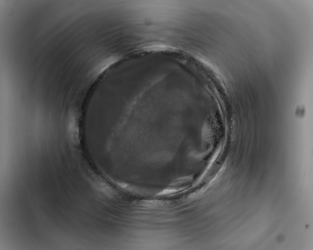 X0000102491305200808221721