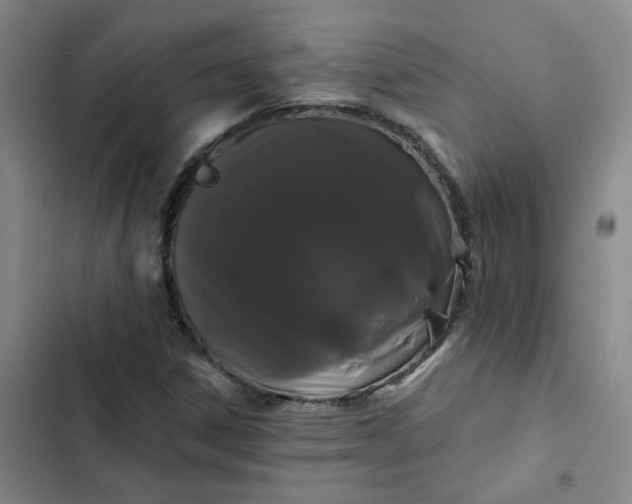 X0000102491306200808221721