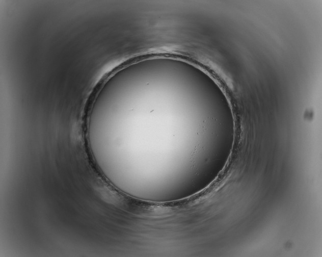 X0000102491308200808221721