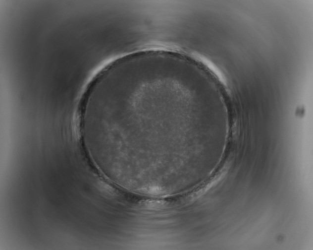 X0000102491310200808221721