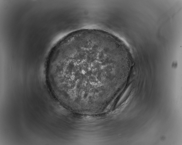 X0000102491311200808221721