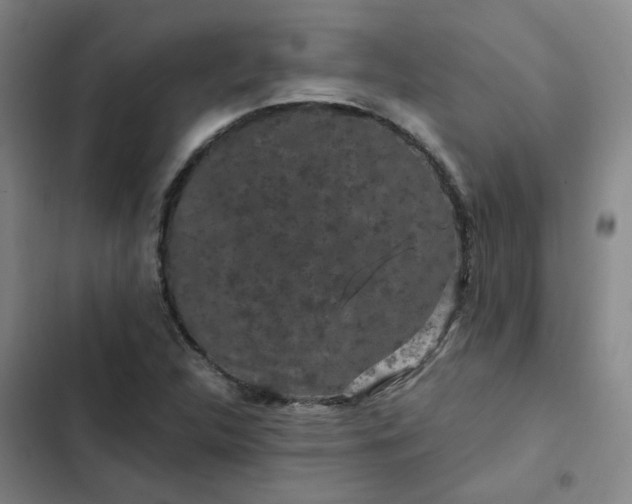 X0000102491312200808221721