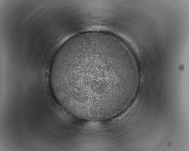 X0000102491313200808221721