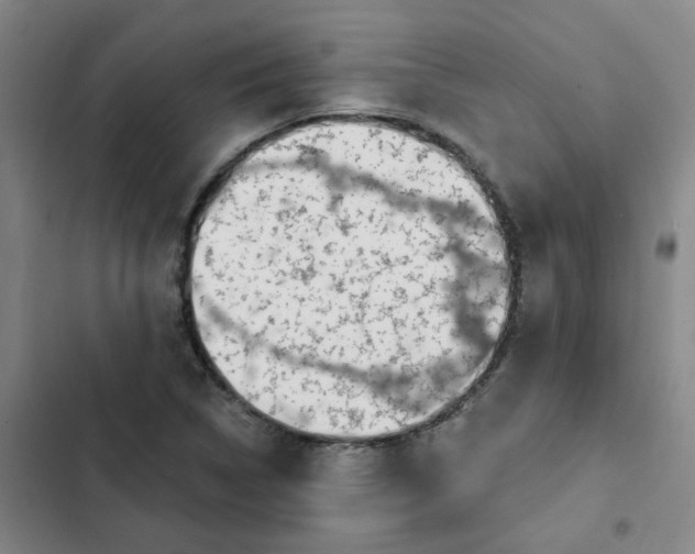 X0000102491314200808221721