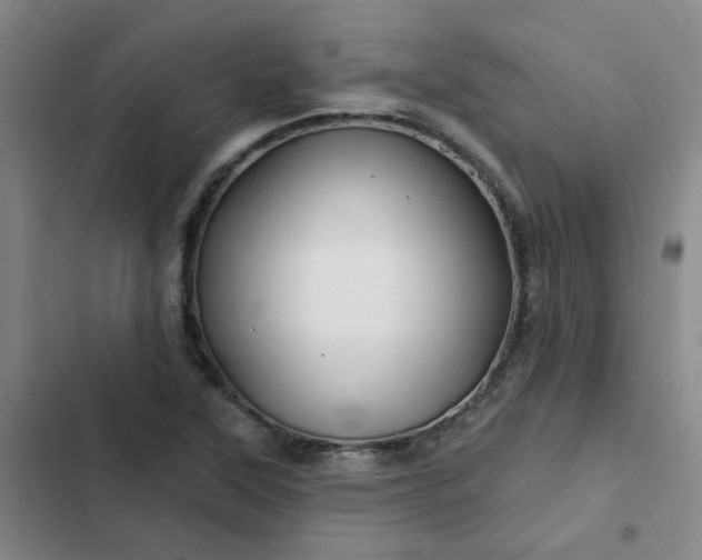 X0000102491315200808221721