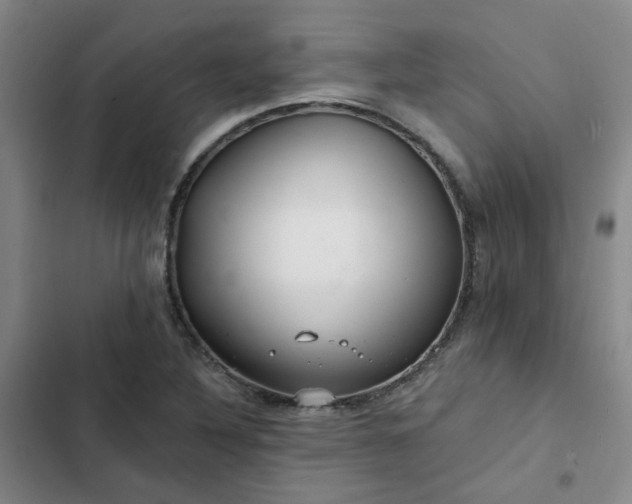 X0000102491316200808221721